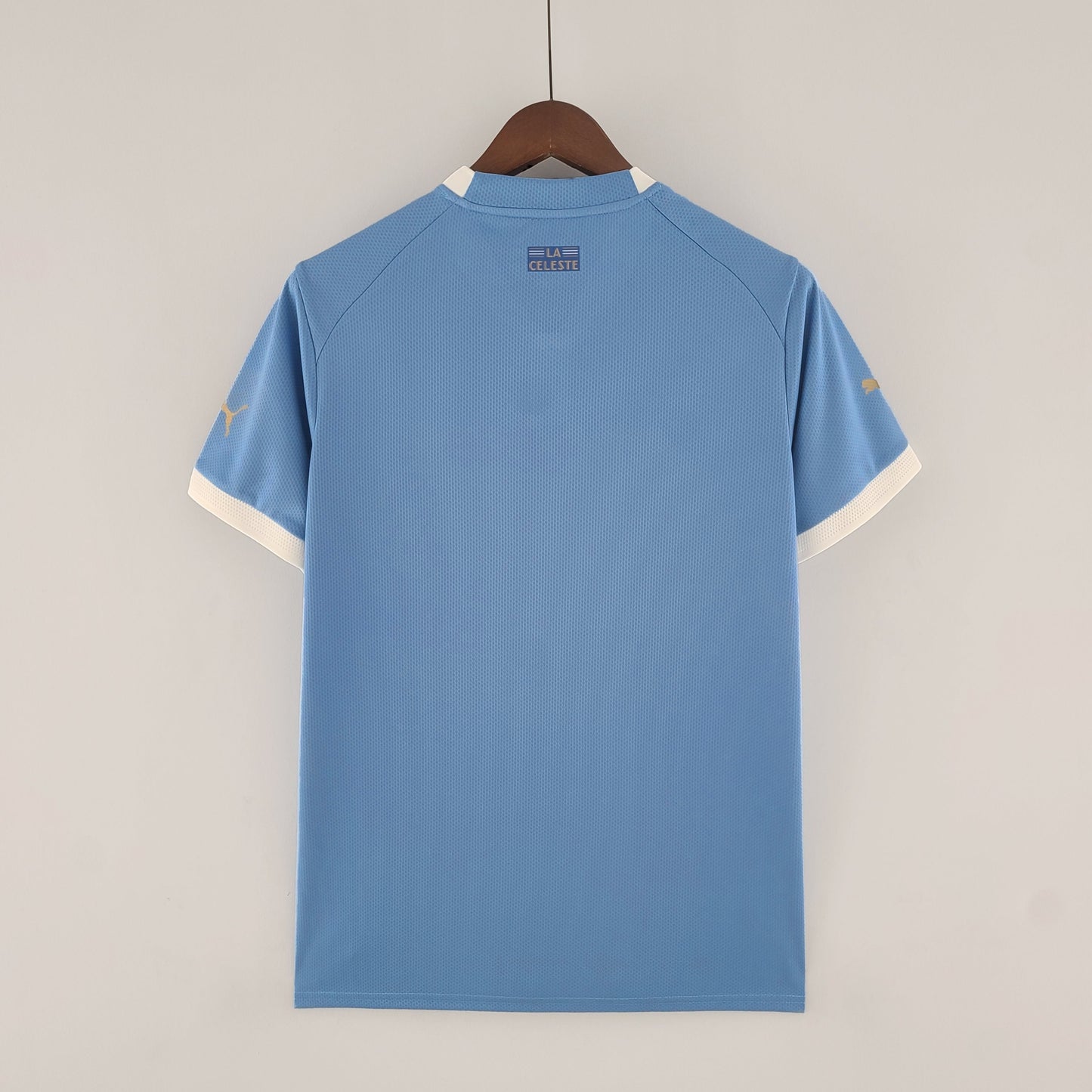 Camiseta selección de Uruguay 2022